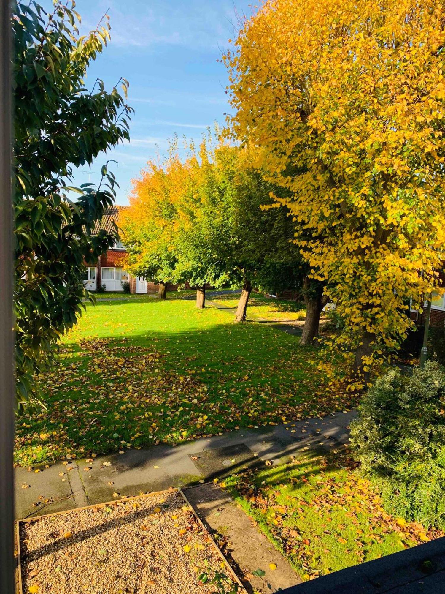 SA Today Farnham (Fibre Wi-Fi&Netflix)! Farnham (Surrey) Exterior foto